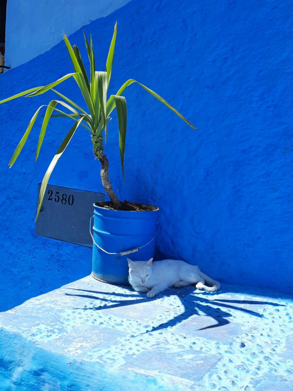 Mexique : Voyage au Yucatan en sac à dos et transports public 33665211