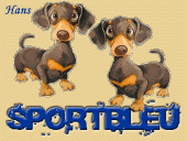 sportbleu