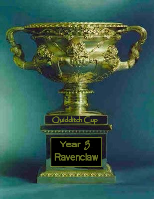 Quidditch Cup year 3 Quiddi10