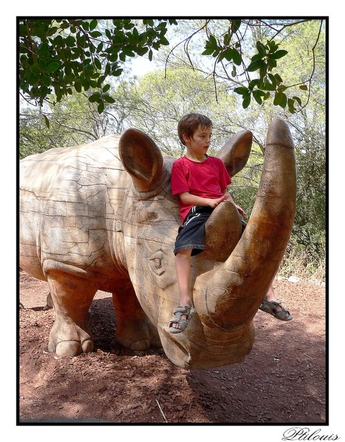 moi j ai meme pas peur des rhinos ihih Rhino_12