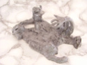 Myth Cloth Item P9200016