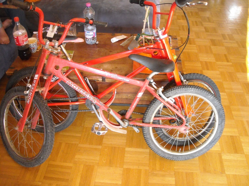 montesa T-12 et T-15 trialsin  Bmx_0016