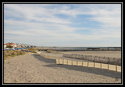 La Camargue - Page 2 _mg_5712