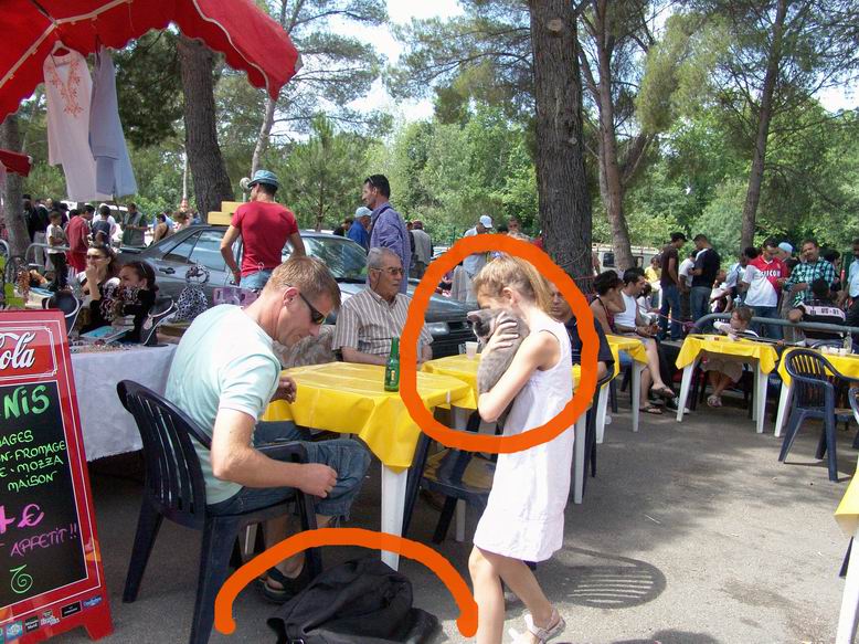 Au marché aux puces de Montpellier Puces_13