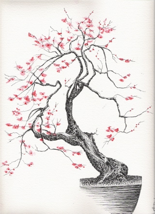 dessins Dessin30