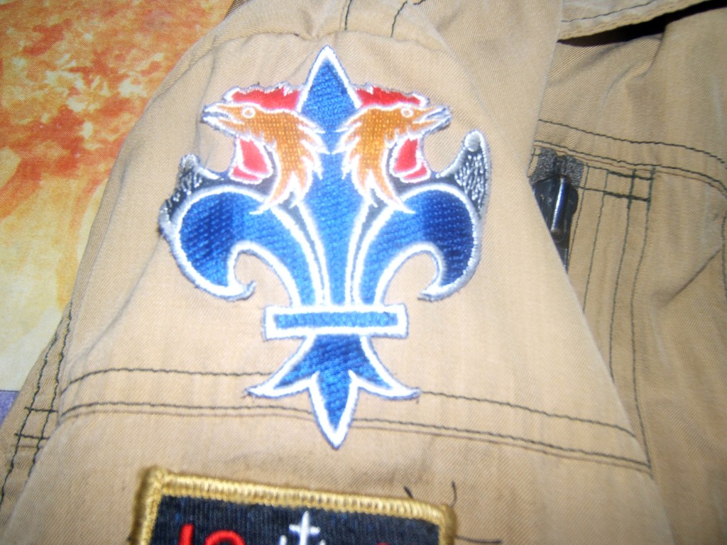 insignes et patchs Dscf1320