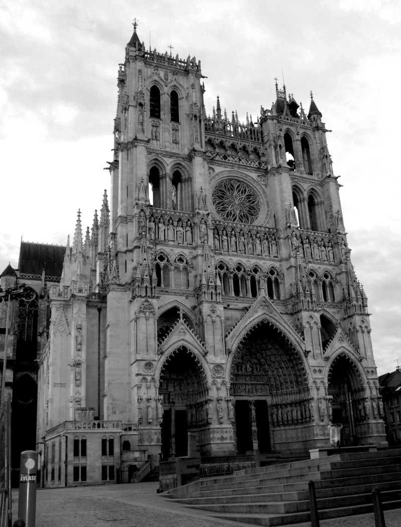 cathédrales gothiques francaises - Page 2 Cath_d10