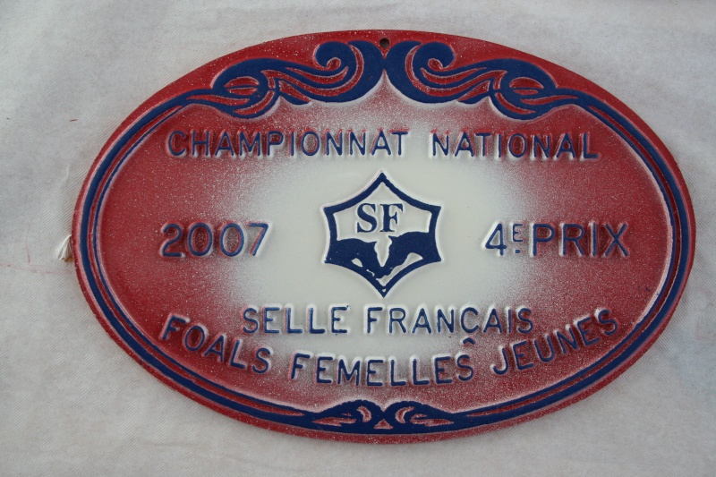 JSF - Finale Foals Femelles  Le Pin (61) 2007-j10