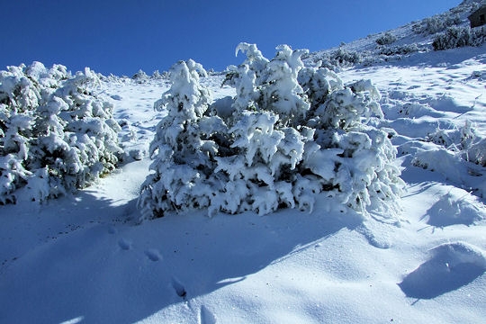 Nature et Animaux >  Nature sous la neige Balade10