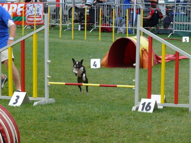 Open Luxembourg Agility P1000110