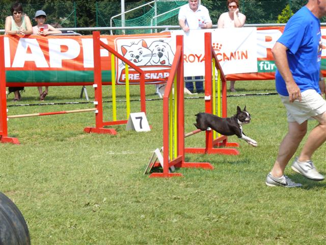 Open Luxembourg Agility P1000117