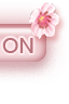 Connexion