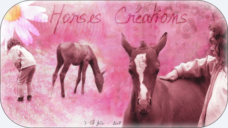Horses Crations