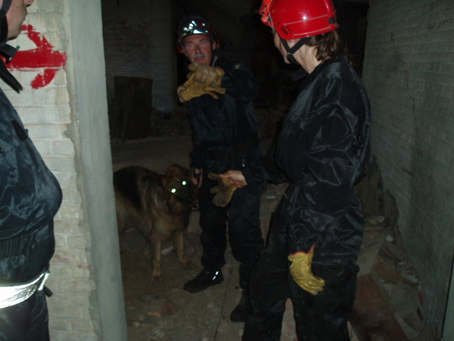 Rescue Dog Belgium - Exercice à Ronet (Flawinne - Namur) P8140018