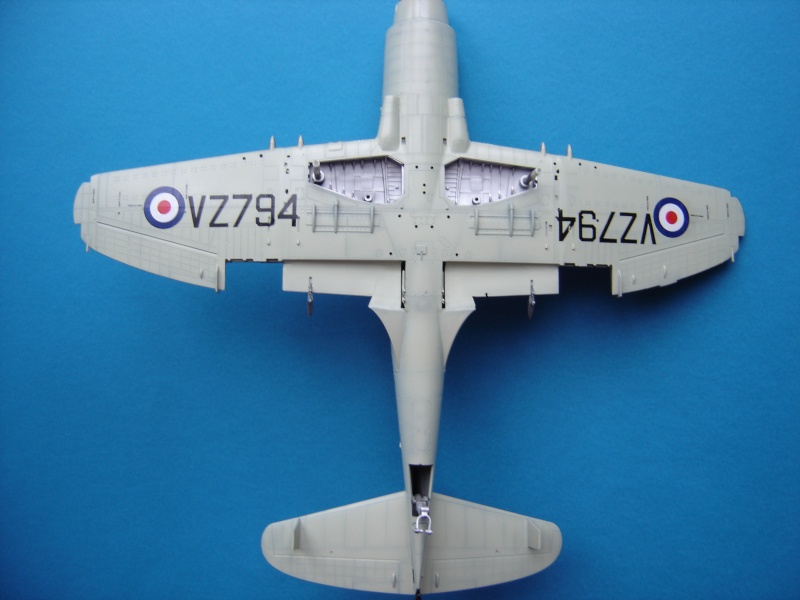 wyvern - Westland WYVERN S4 - 1/48 - [Trumpeter] -  - Page 5 Dsc06738