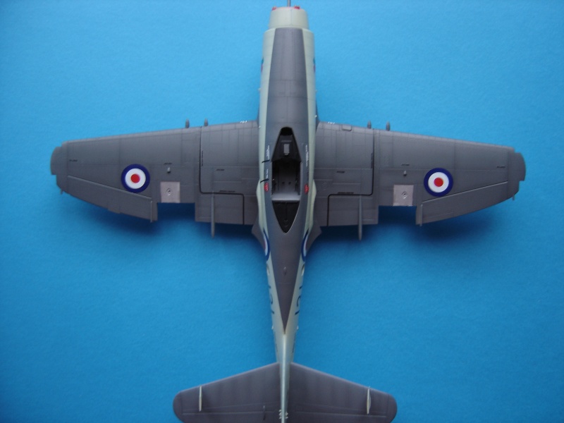 wyvern - Westland WYVERN S4 - 1/48 - [Trumpeter] -  - Page 5 Dsc06739