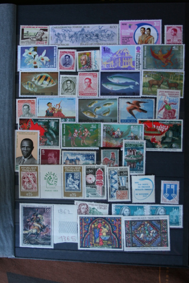 TIMBRES Ti_00610