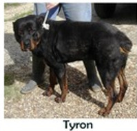 Tyron Tyron10