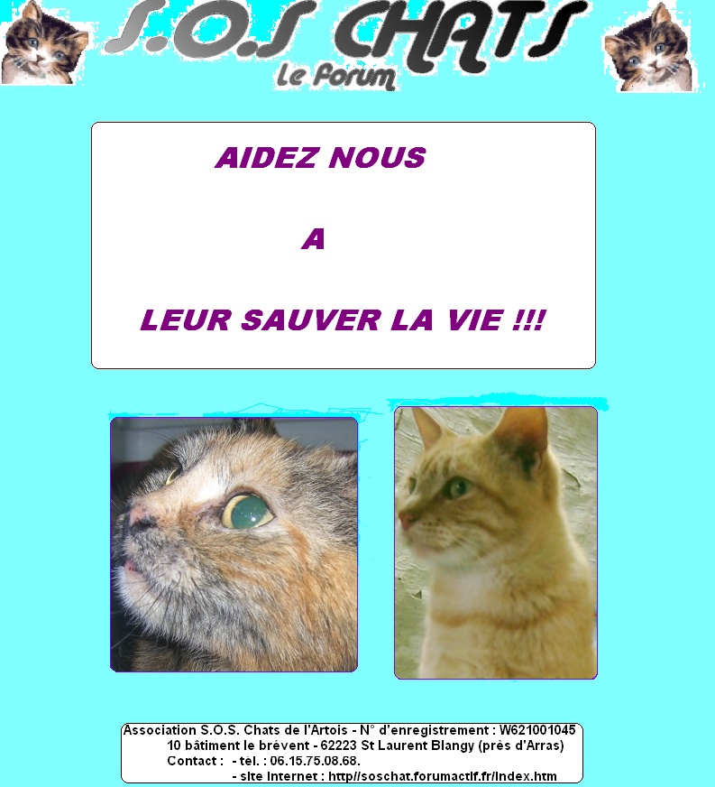 le BOOK A CHATS - Page 2 Page_d10