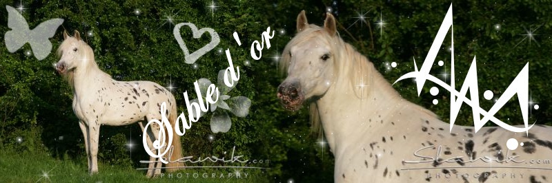 Sable d'or Exempl11