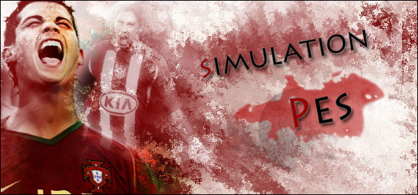 Simulation-PES Sp11