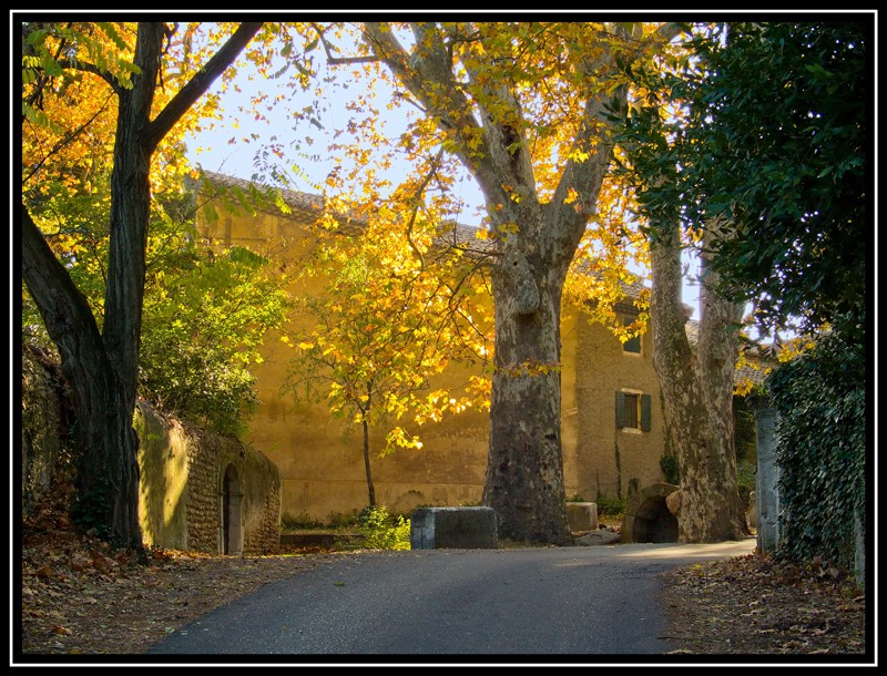 Couleurs D'automne P1000310