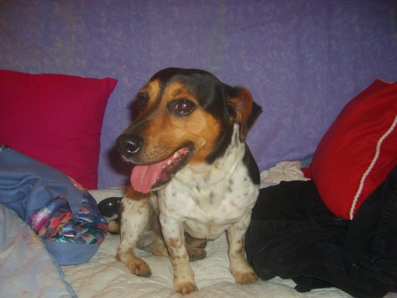 B) cage 8: Marquis, Jack---> Alerte (Paris) S6002412