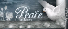 Give Peace a chance Virgin20