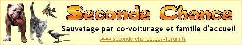 seconde chance Second10