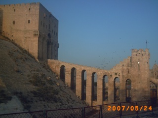 زيارة مغترب الى سوريا الحبيبة 15915e10