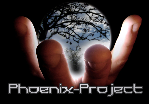 Phoenix-Project 110