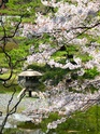 Paysages Japonais Img_1110