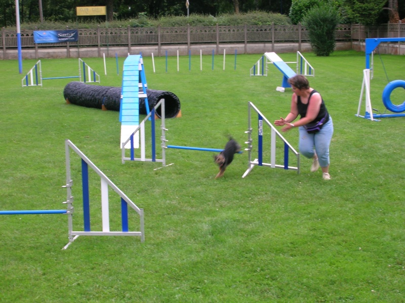 Apprentissage de l'agility Dscn1114