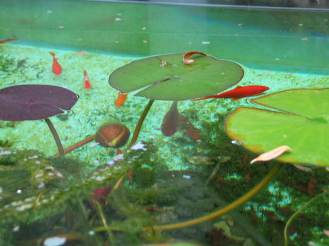 mes bacs en image :) 01011