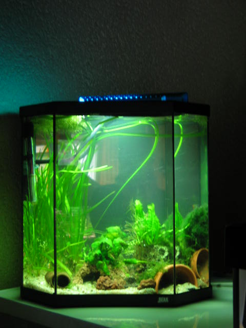 mes bacs en image :) 10411