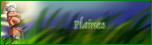 Plaines