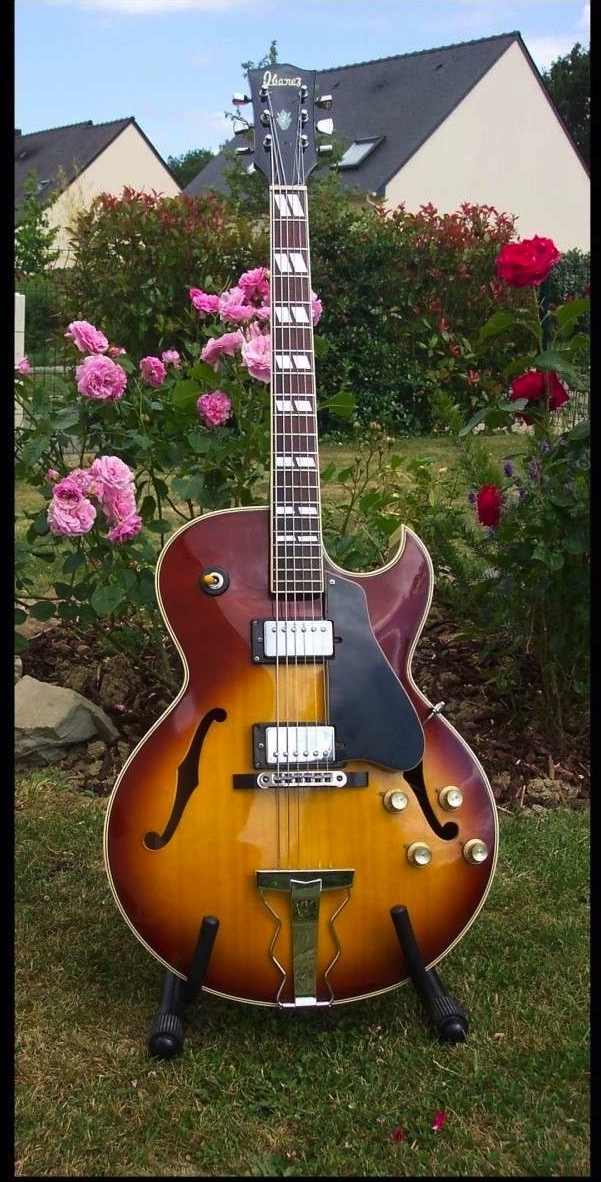 Gibson - Page 14 100_4110