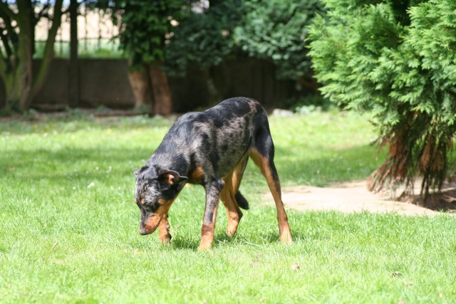 Album Perso de Nath et les 7 Beaucerons Bluebi10