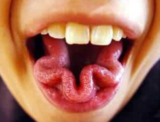 Twist That Tongue! Copy_o10