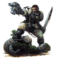 Illustrations black templars Scout10