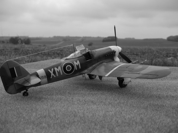 TYPHOON mK IB,182 Squadron,Novembre 1942 Dscf0870