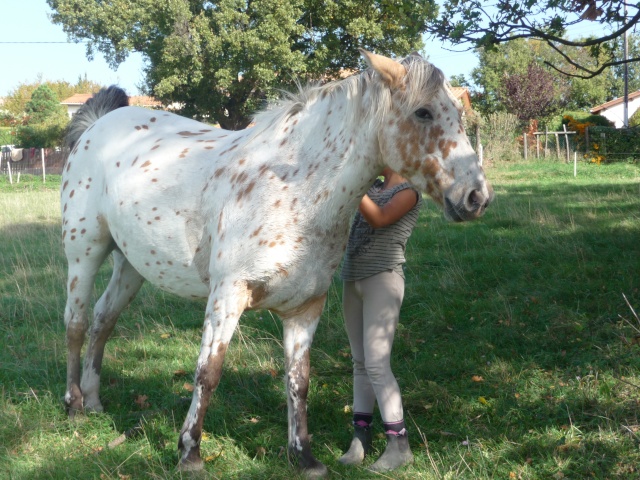 des news de neige et quito son pote Photos12