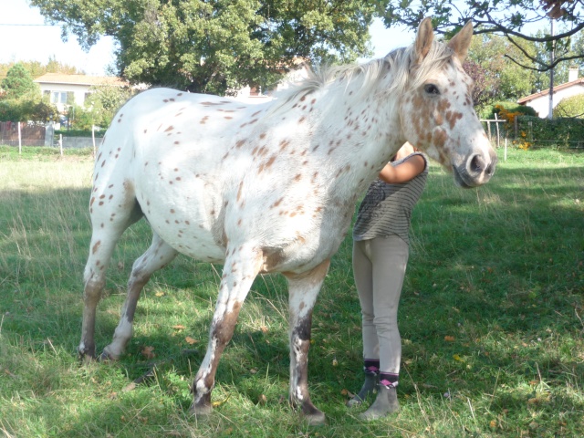 des news de neige et quito son pote Photos13