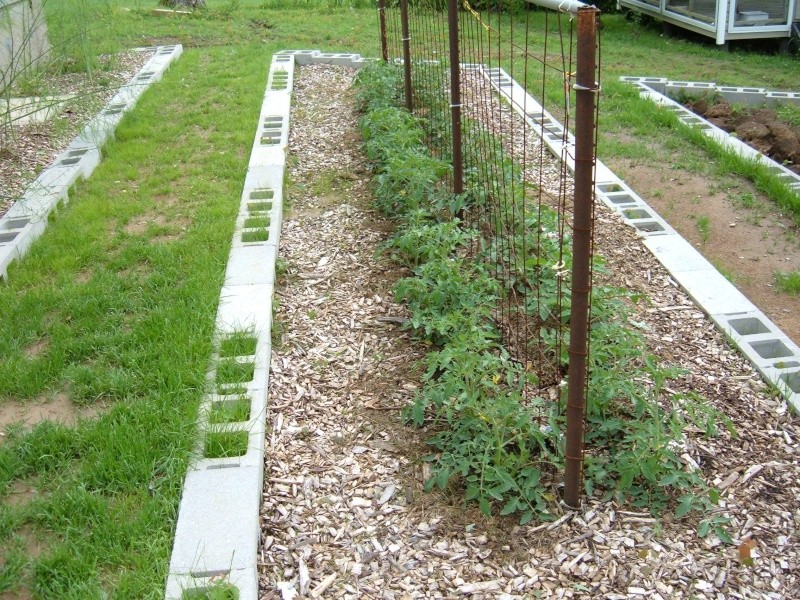 Garden 2011 17310