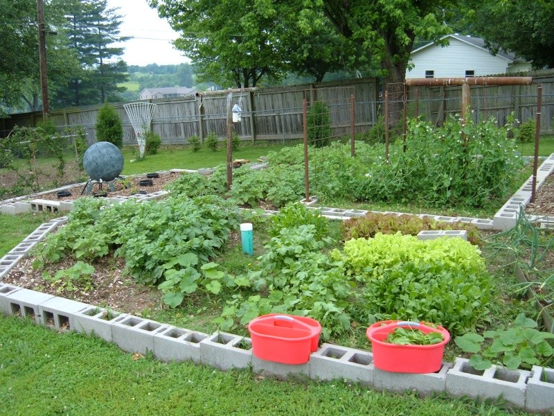 Garden 2011 18410