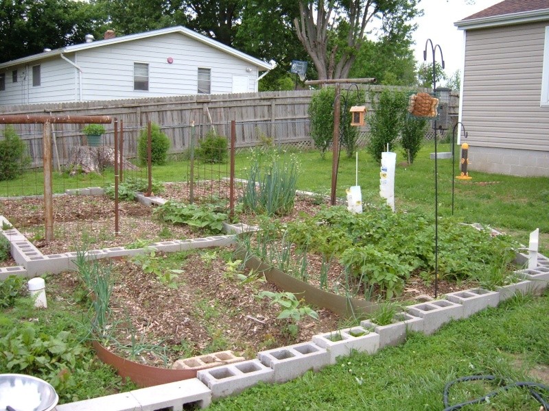 Garden 2011 18511