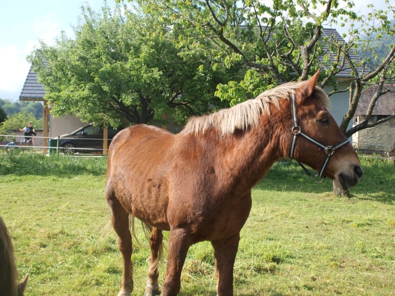 hullane 28 ans en FA chez Carotte P4300311