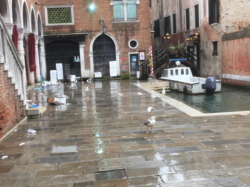 Venise 2019 - Page 2 Img_0718