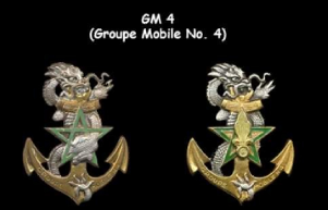 Insignes de Groupements Mobiles. Captur37