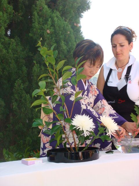 Ikebana. La Flor y la Vida.  Dsc00523